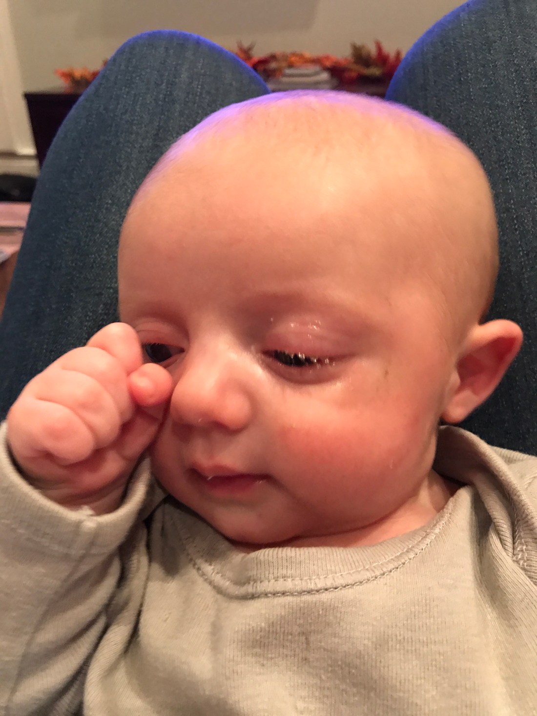 24676261388_5c4746bf4d_o