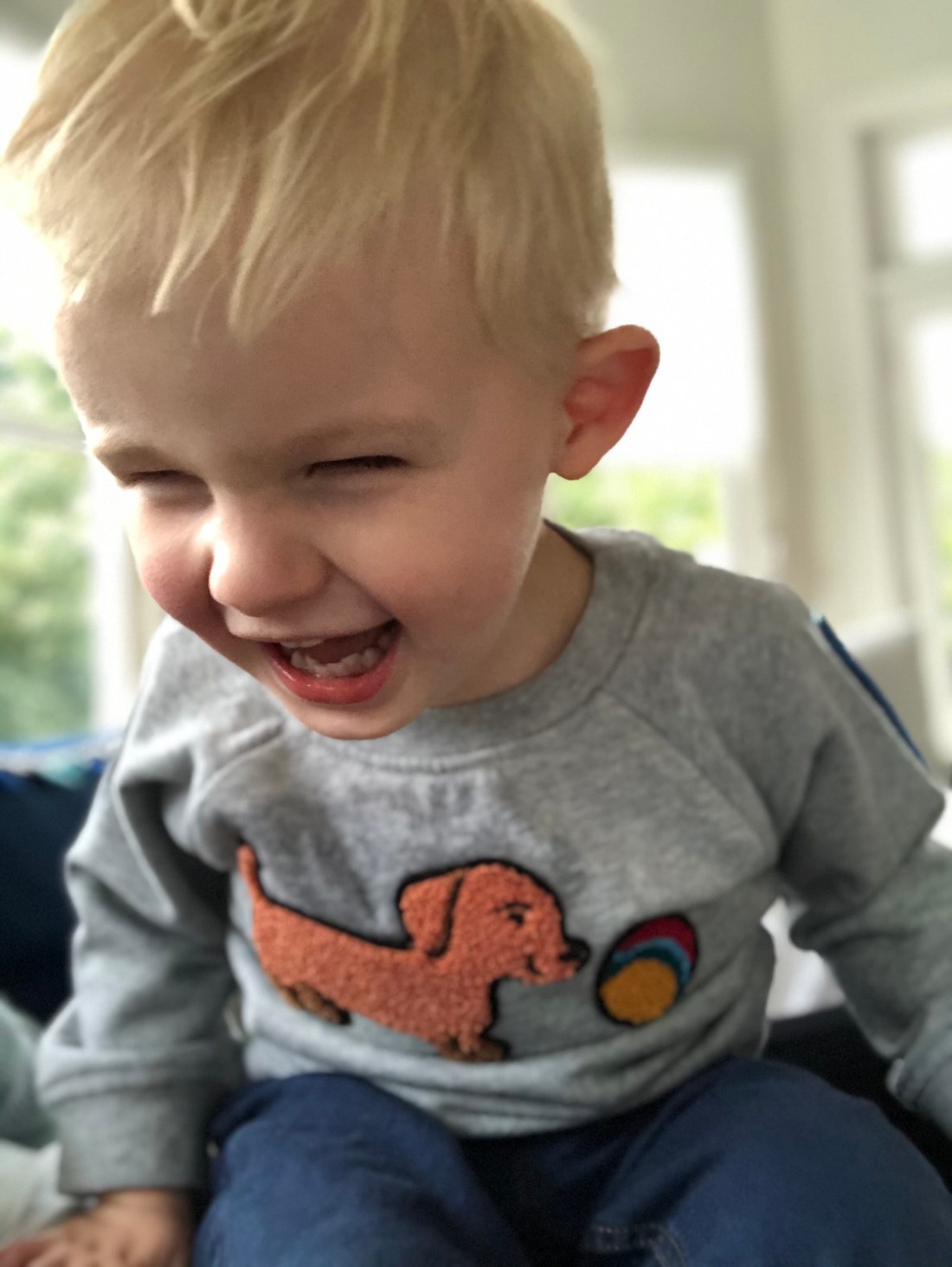 The same little boy in the same sweatshirt is leaning forward laughing very hard